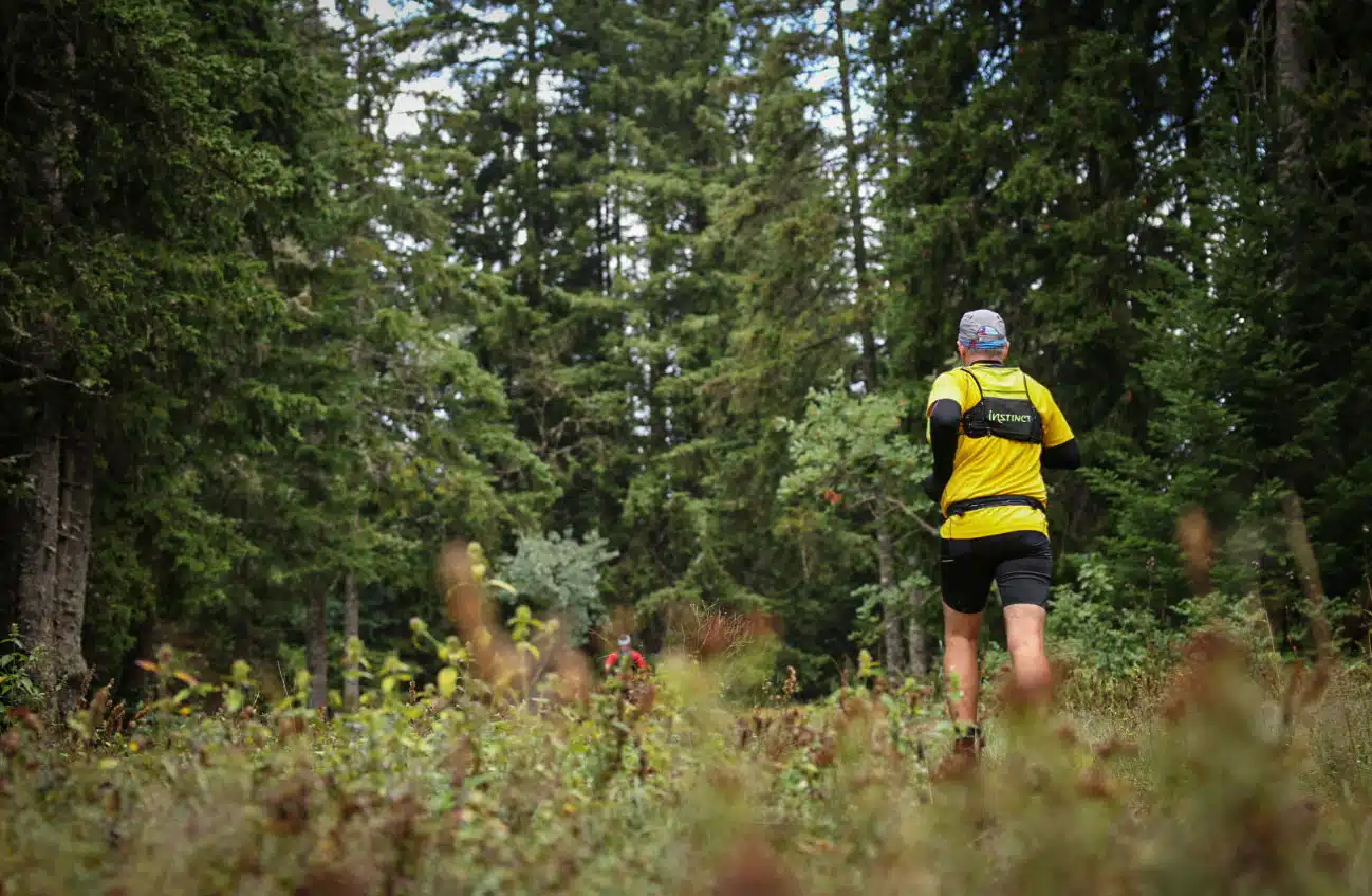 Parcours trail du Sentier des Ours